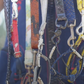 Leashes | Collars