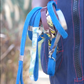 Leashes | Collars