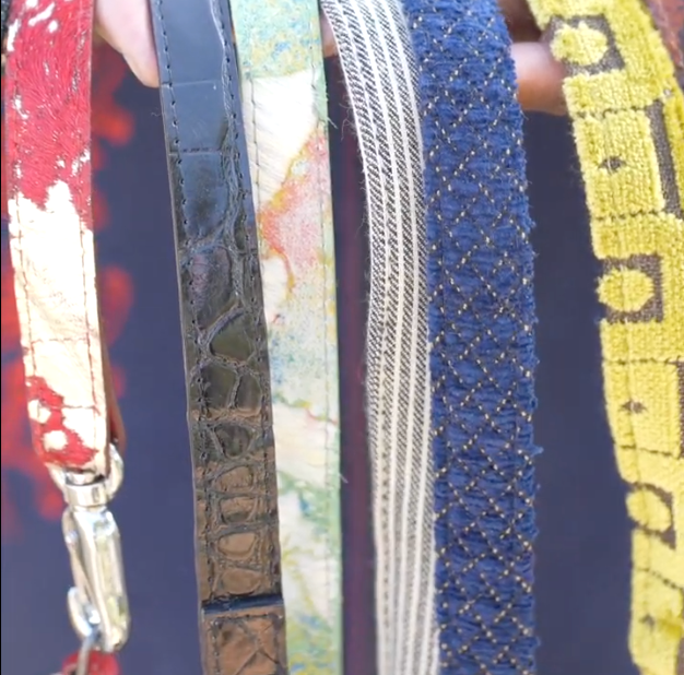 Leashes | Collars