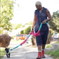 Leashes | Collars