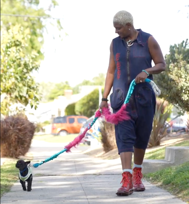 Leashes | Collars