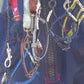 Leashes | Collars
