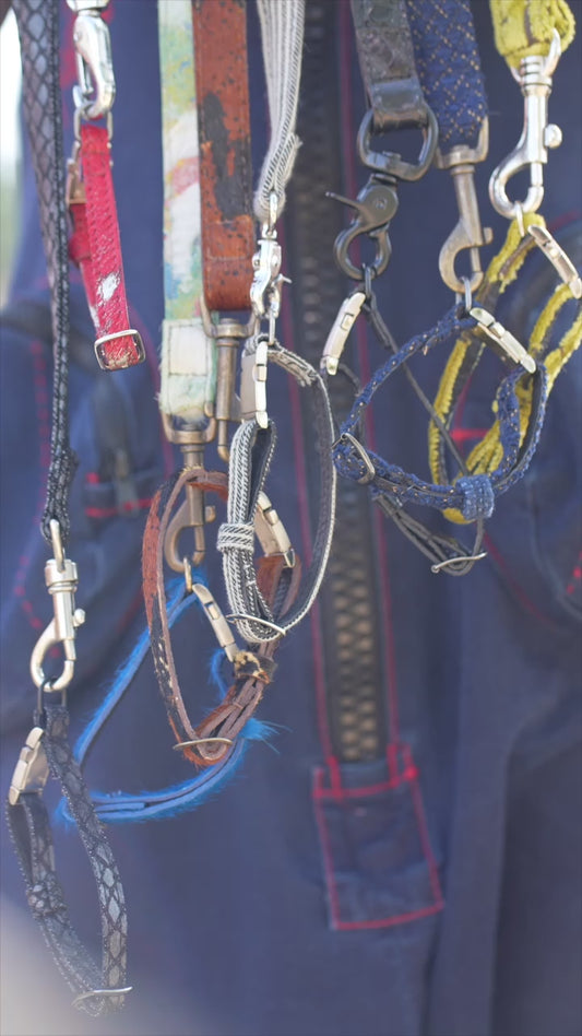 Leashes | Collars